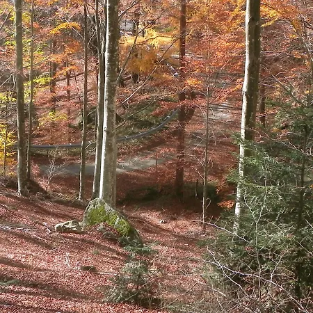 Le Macinaie - Monte Amiata
