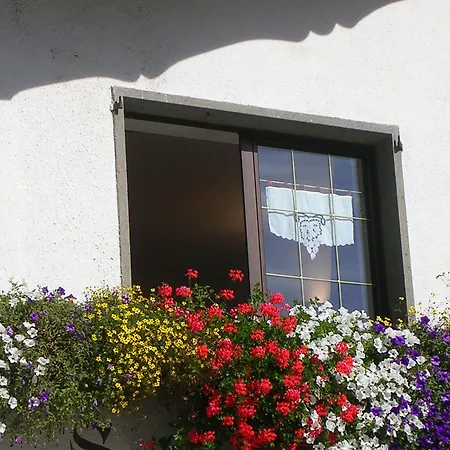 Le Macinaie - Monte Amiata Castel del Piano (Tuscany)