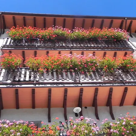 Le Macinaie - Monte Amiata Castel del Piano (Tuscany)