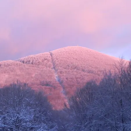 Le Macinaie - Monte Amiata Hotel 2*