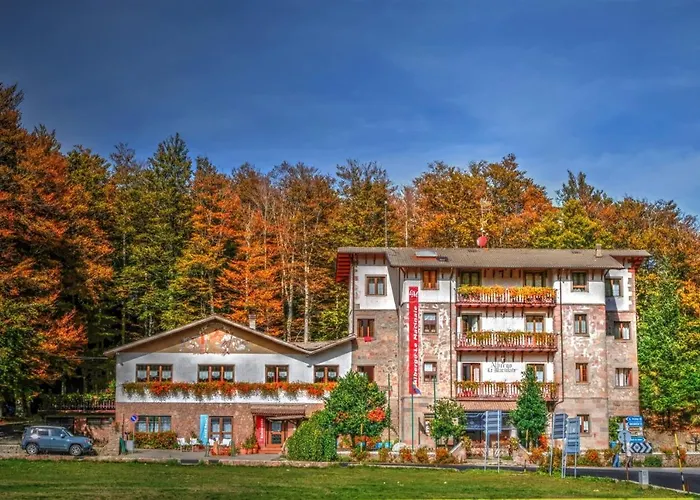 Le Macinaie - Monte Amiata Castel del Piano (Tuscany)