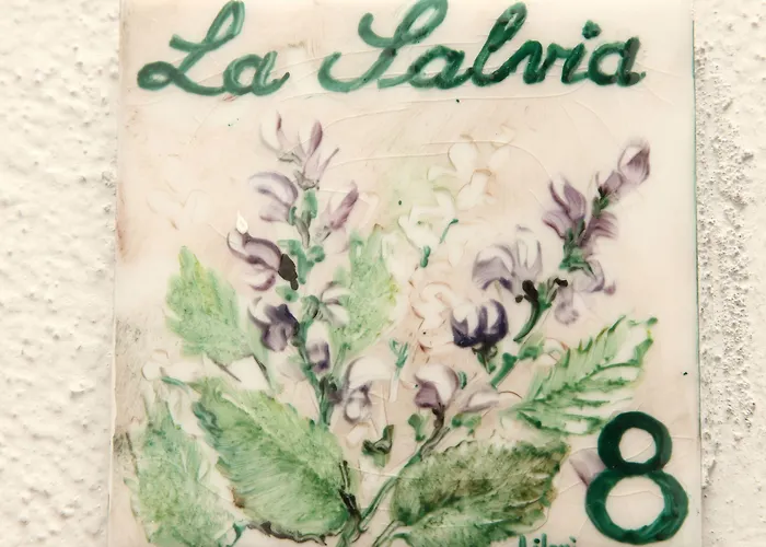 Le Macinaie - Monte Amiata