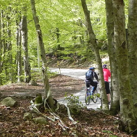 Le Macinaie - Monte Amiata 호텔 2*