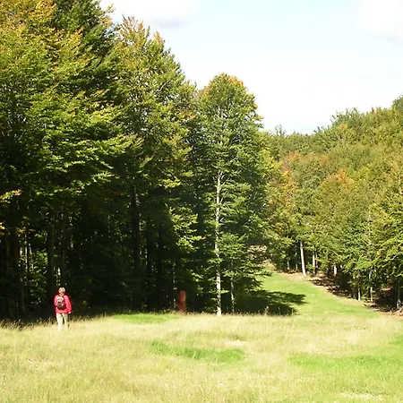 Le Macinaie - Monte Amiata 호텔