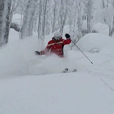 Le Macinaie - Monte Amiata 2* 카스텔 델 피아노