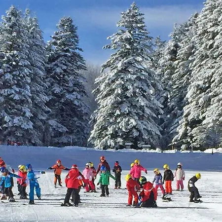 호텔 Le Macinaie - Monte Amiata 카스텔 델 피아노